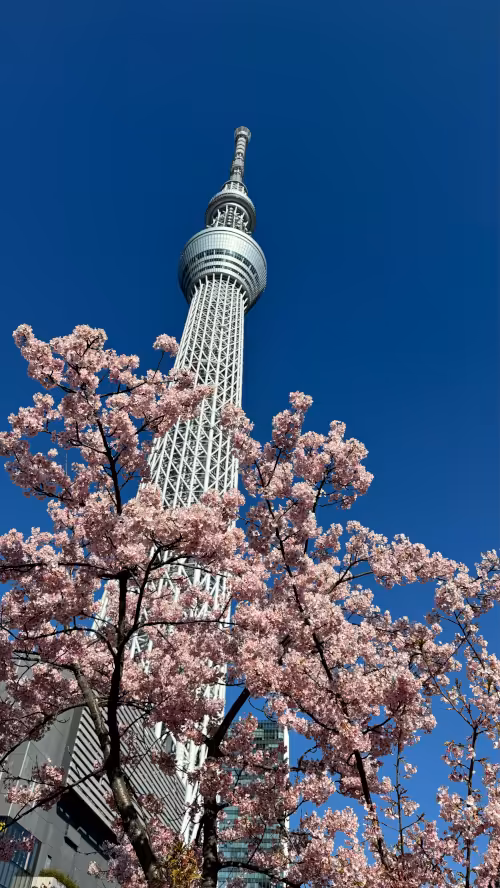 Tokyo Skytree · Tokyo, Japan · 03/2024