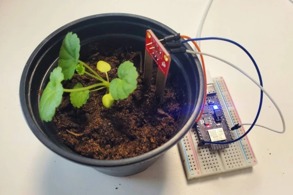 Project three screenshot